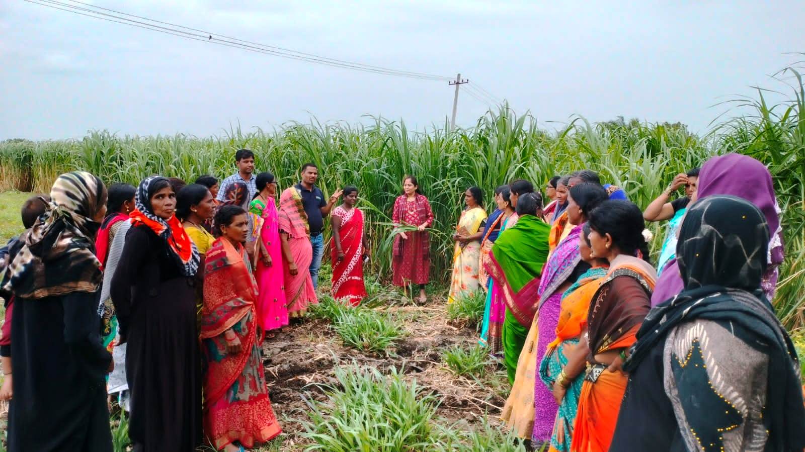 https://1ngo.sgp1.digitaloceanspaces.com/media/prawarda/Dairy exposure visit_hJCAKY3.jpeg